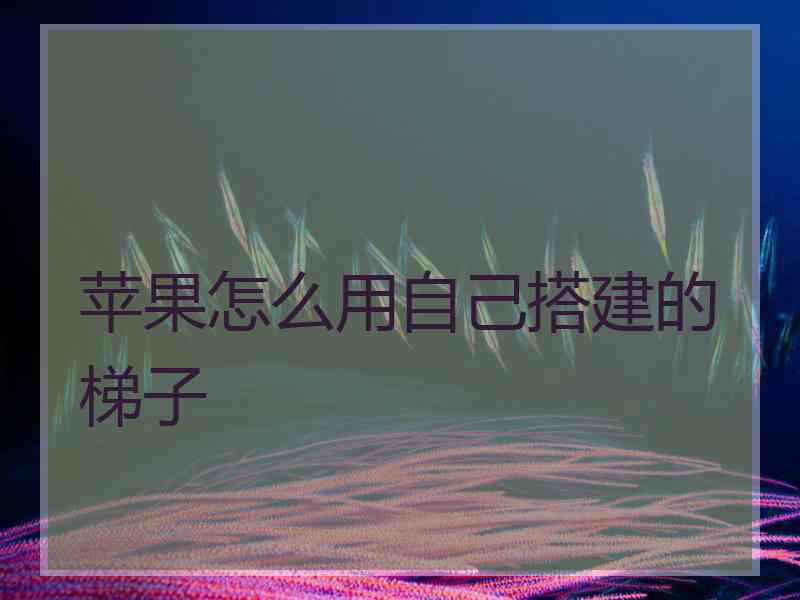 苹果怎么用自己搭建的梯子