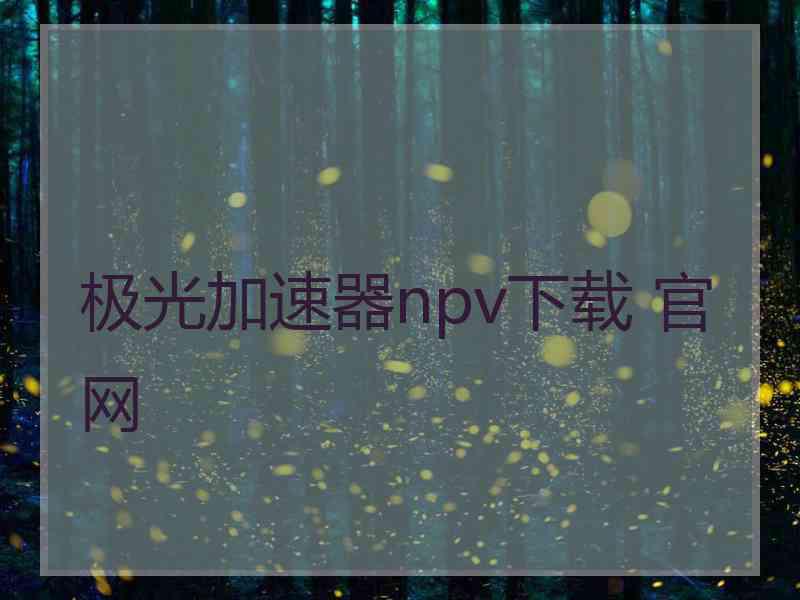 极光加速器npv下载 官网