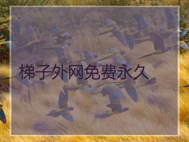 梯子外网免费永久
