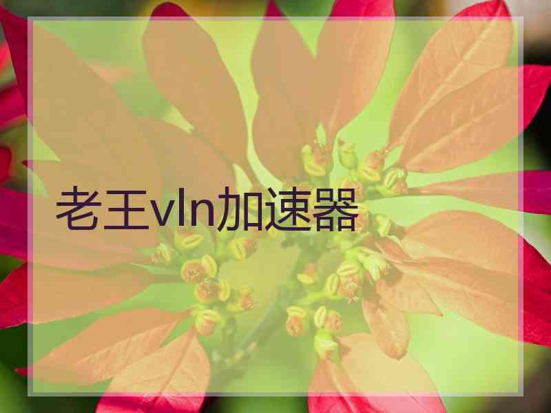 老王vln加速器