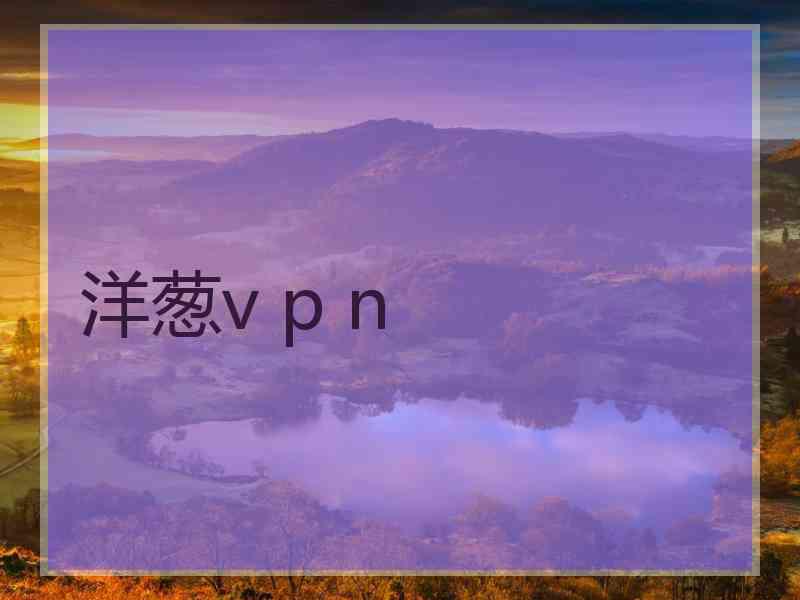 洋葱v p n