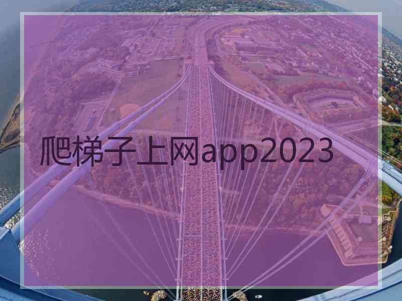 爬梯子上网app2023