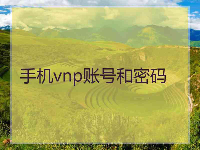 手机vnp账号和密码