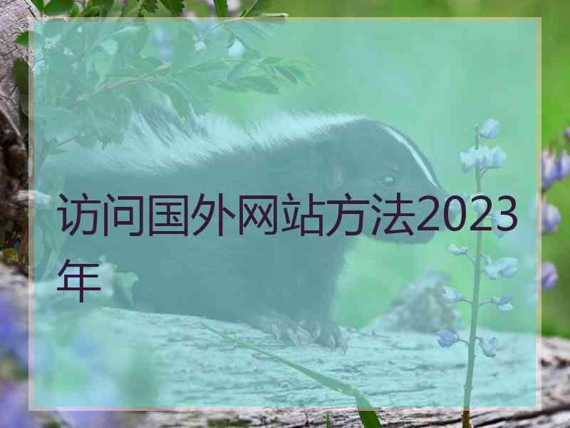 访问国外网站方法2023年