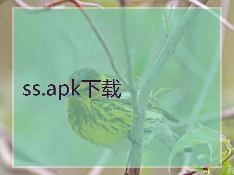 ss.apk下载