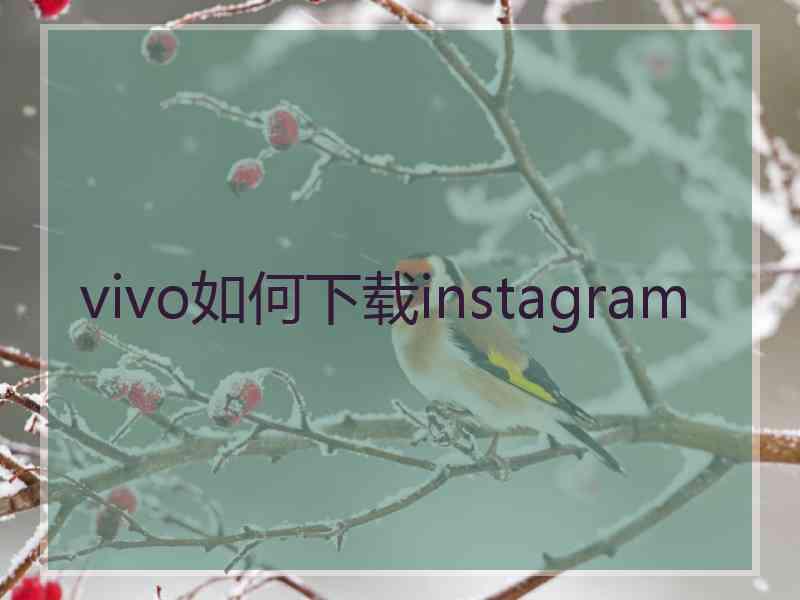 vivo如何下载instagram