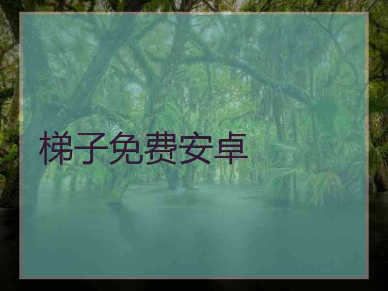 梯子免费安卓