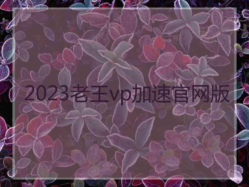 2023老王vp加速官网版