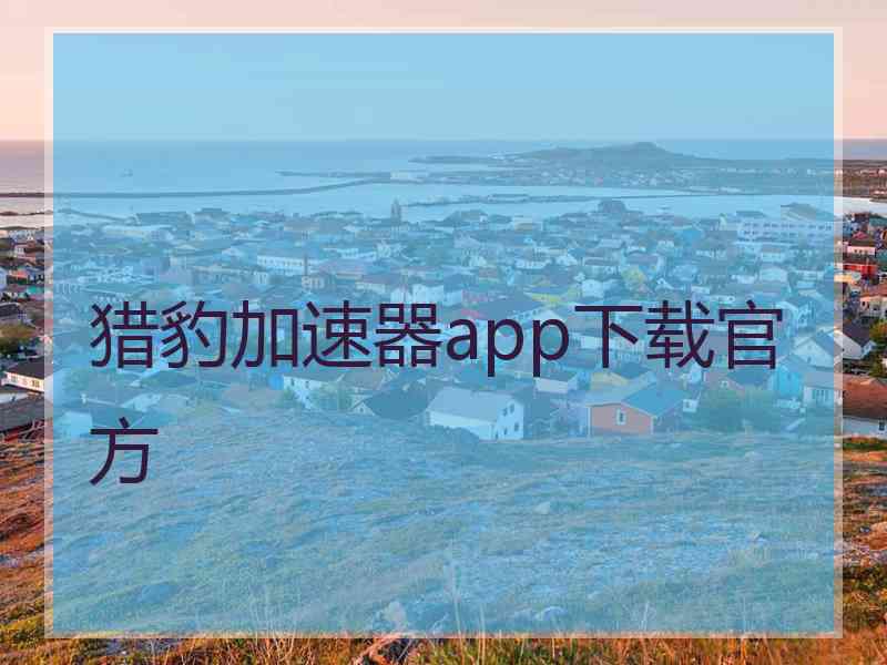 猎豹加速器app下载官方