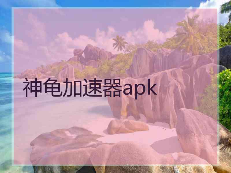 神龟加速器apk