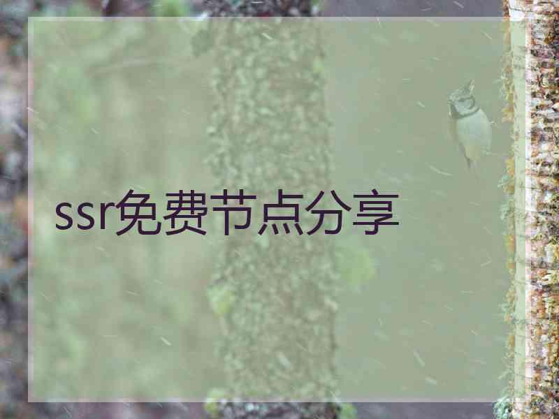 ssr免费节点分享