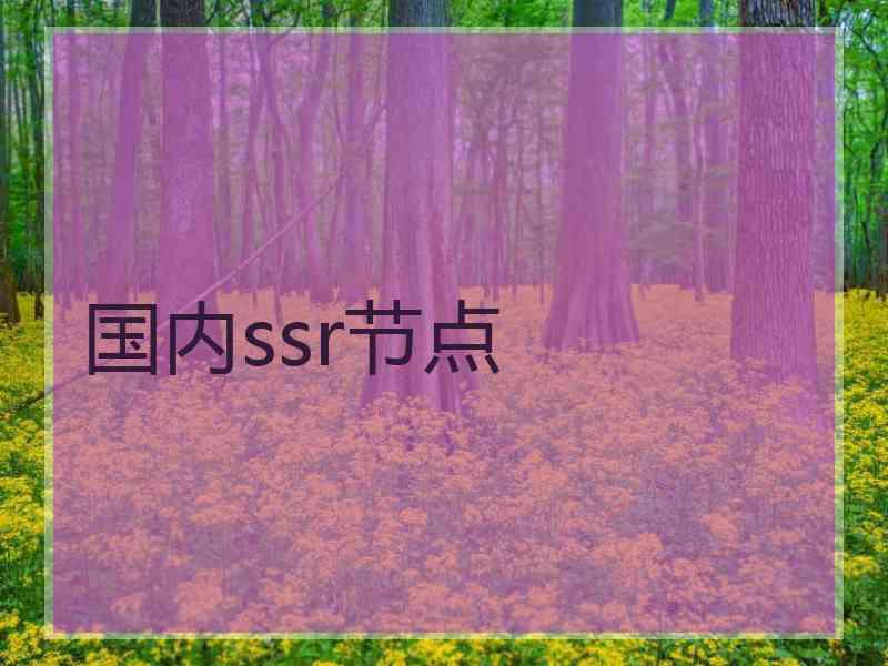国内ssr节点