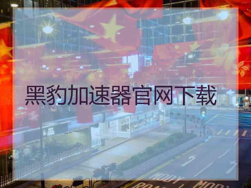 黑豹加速器官网下载
