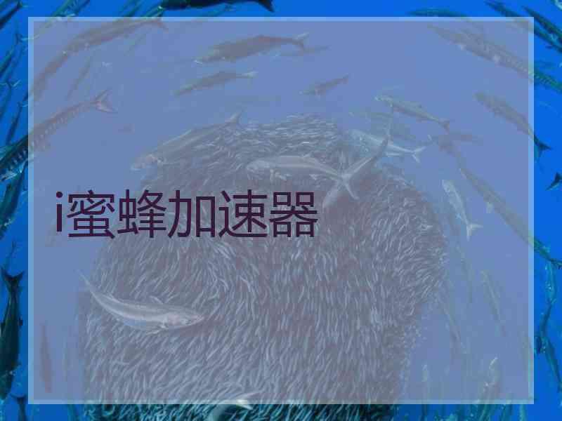 i蜜蜂加速器