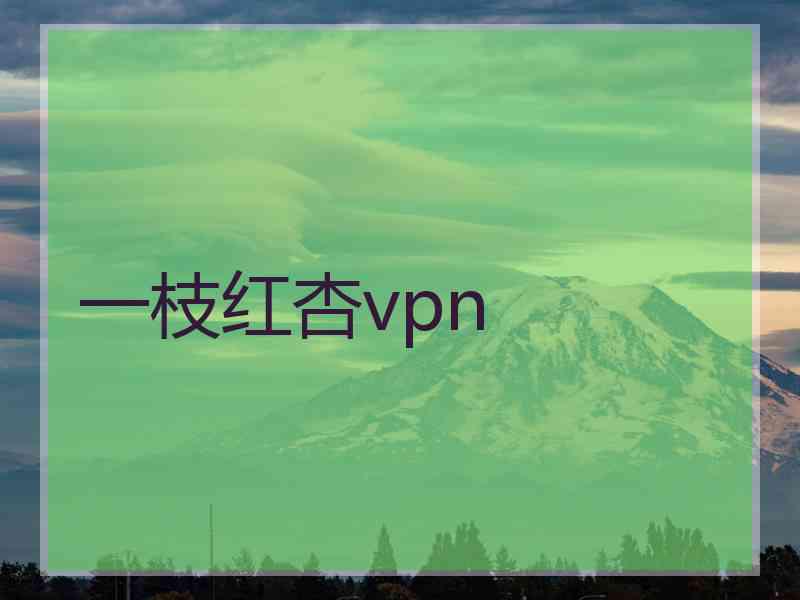 一枝红杏vpn