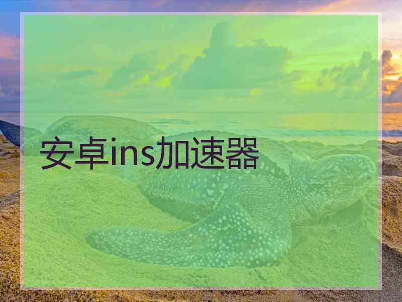 安卓ins加速器