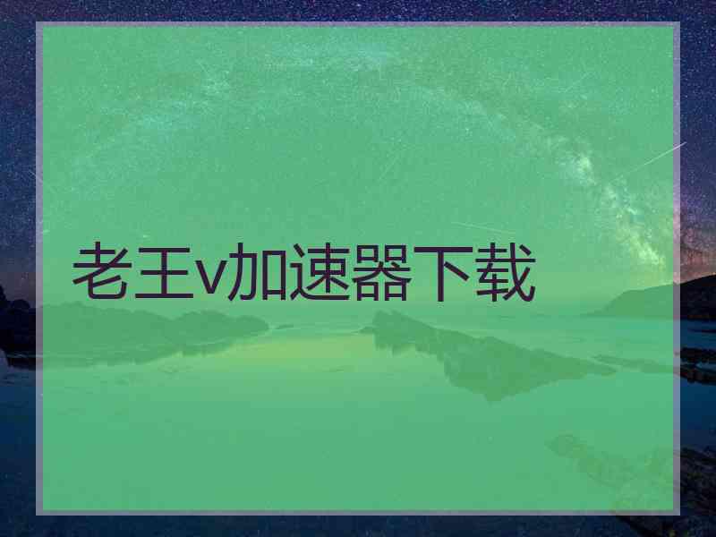 老王v加速器下载