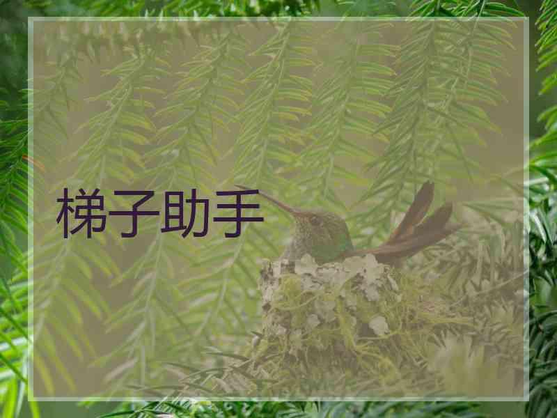 梯子助手