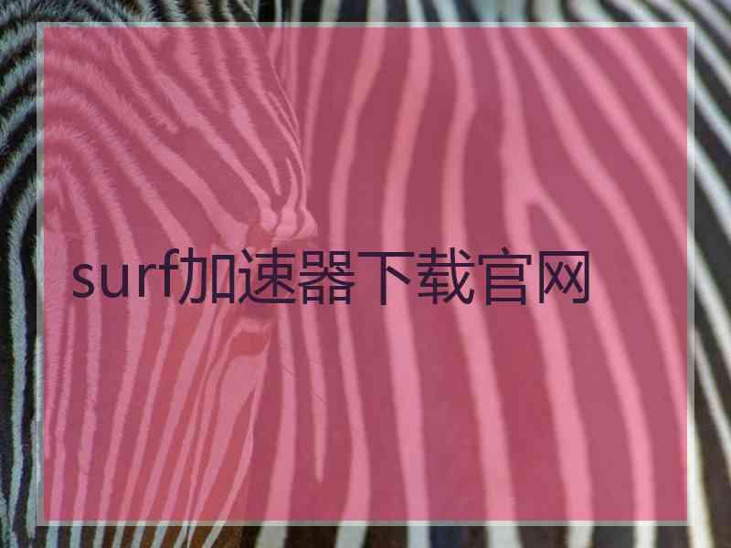 surf加速器下载官网