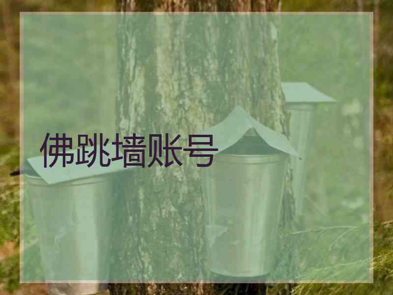 佛跳墙账号