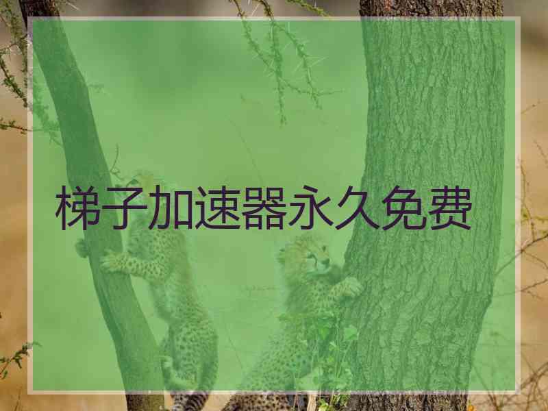 梯子加速器永久免费