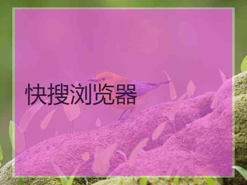 快搜浏览器