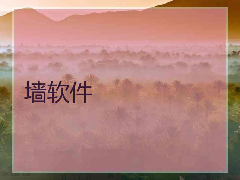 墙软件