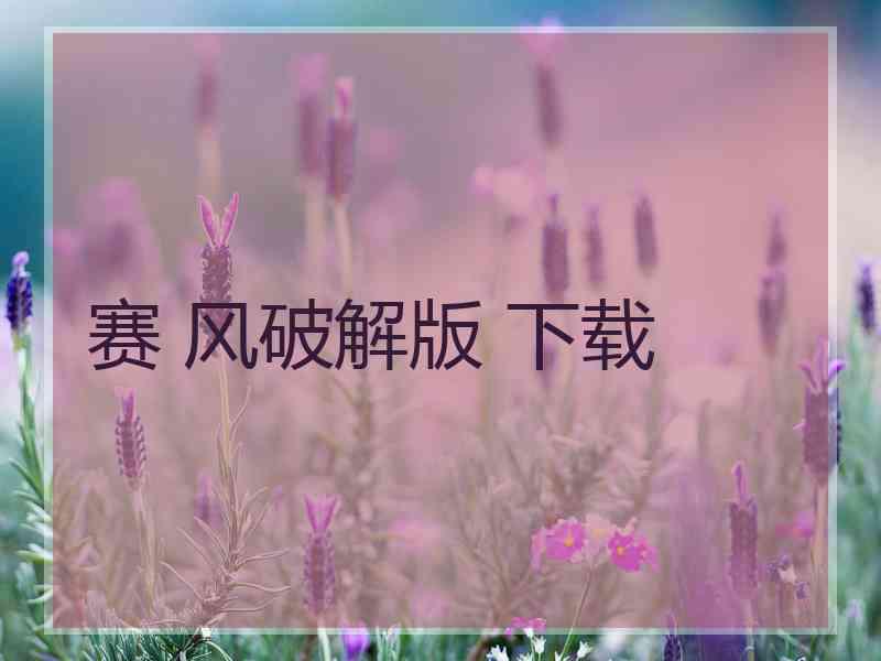 赛 风破解版 下载