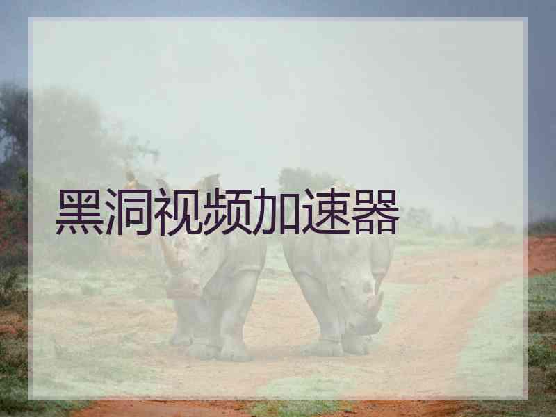 黑洞视频加速器