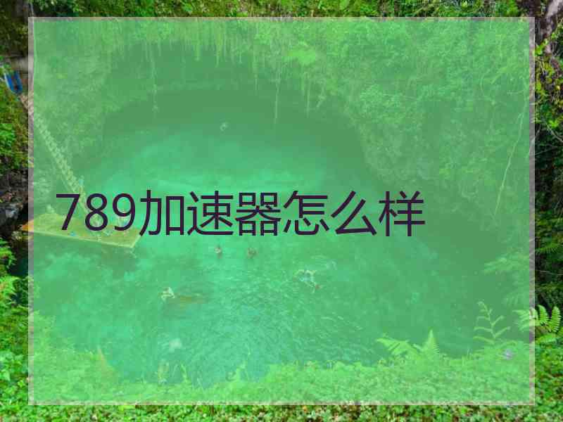 789加速器怎么样