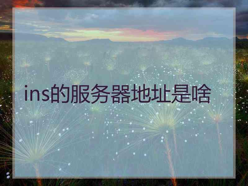 ins的服务器地址是啥
