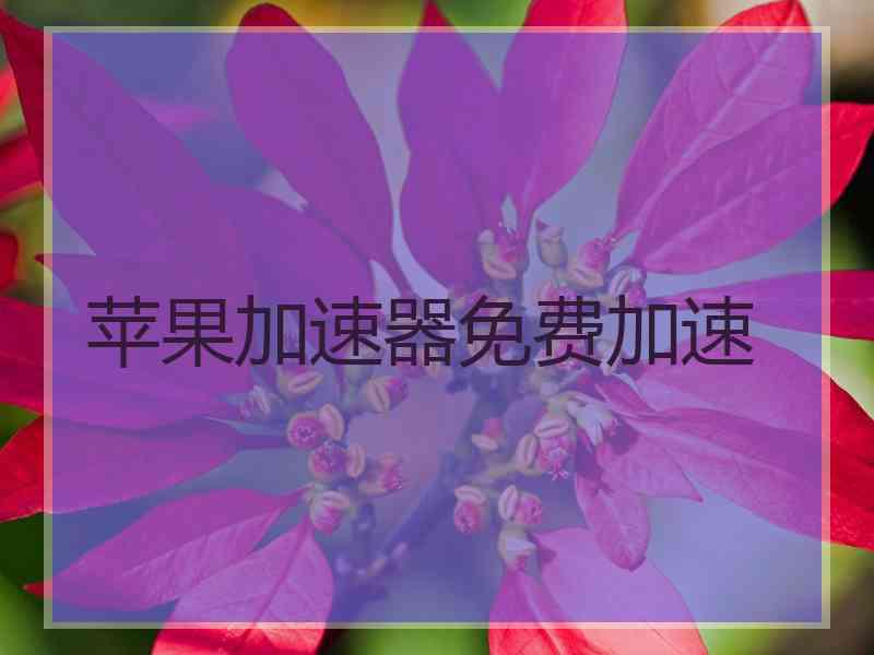 苹果加速器免费加速