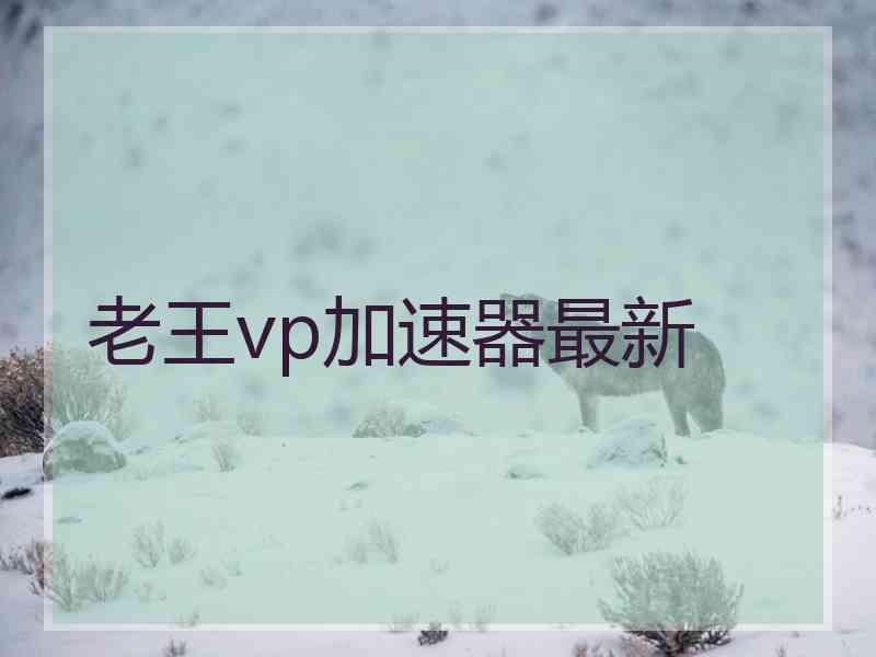 老王vp加速器最新