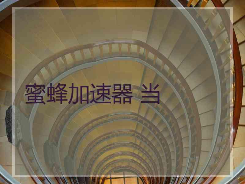 蜜蜂加速器 当