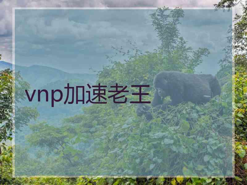 vnp加速老王