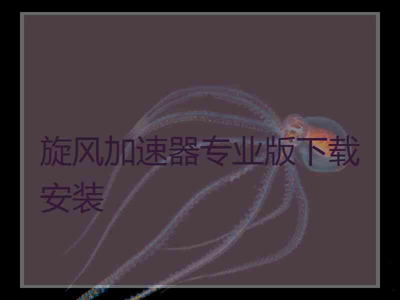 旋风加速器专业版下载安装