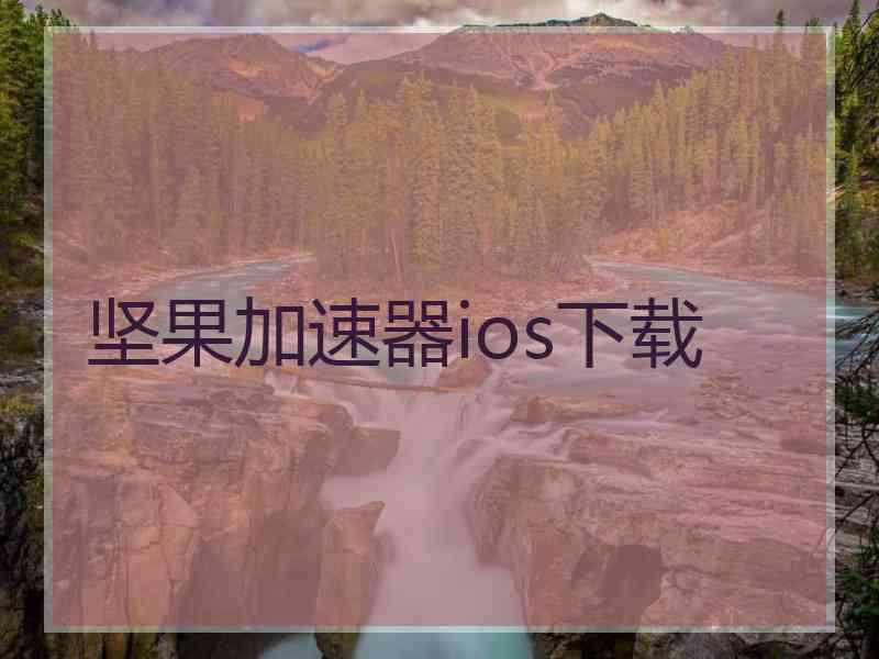 坚果加速器ios下载
