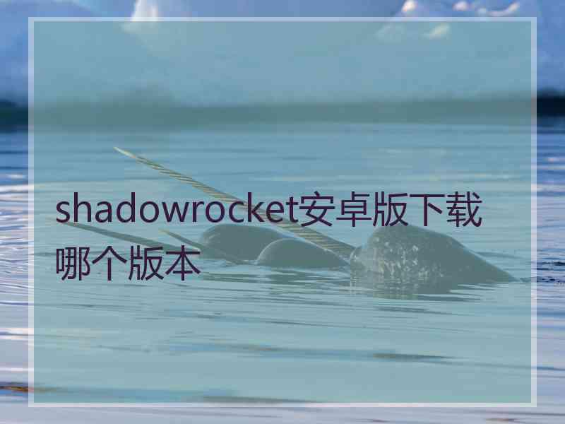 shadowrocket安卓版下载哪个版本