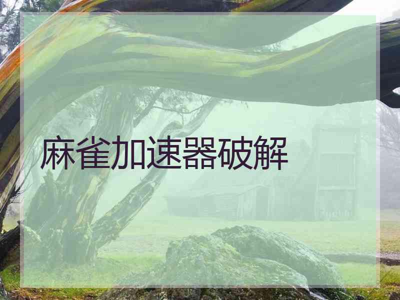 麻雀加速器破解
