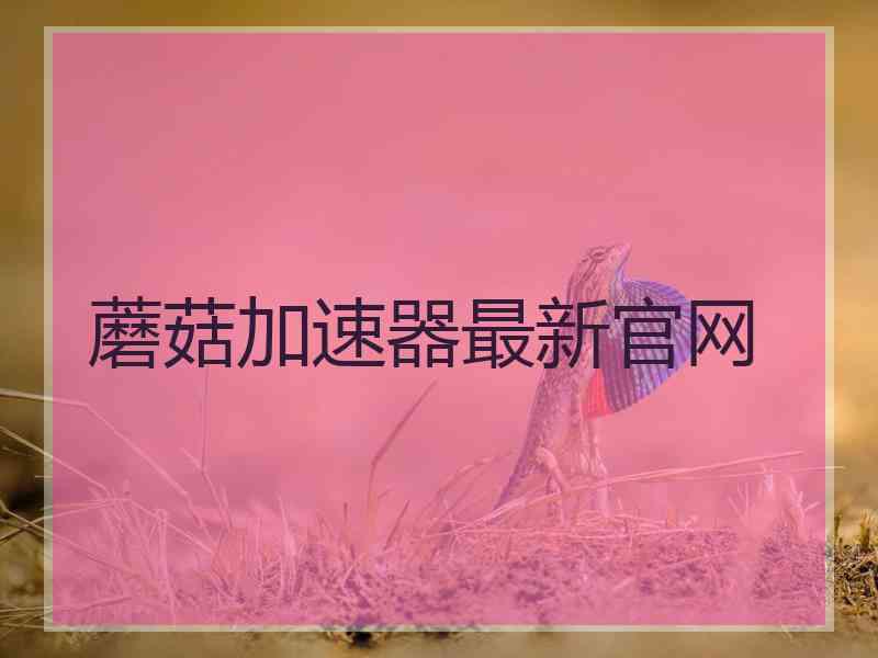 蘑菇加速器最新官网